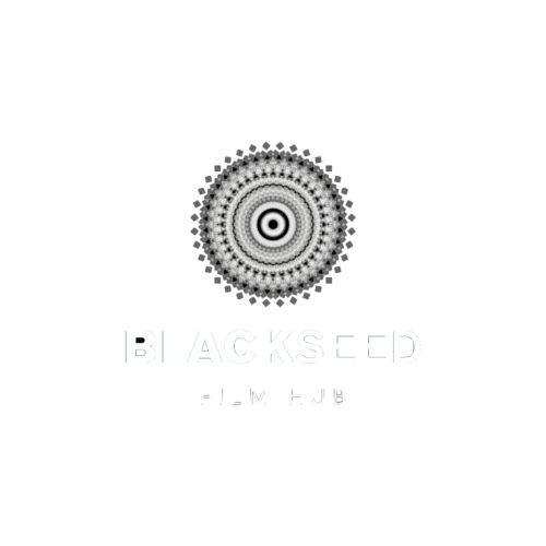 Blackseed Film Hub Training